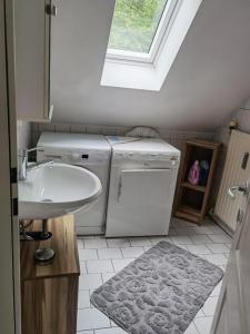 baño pequeño con lavabo y lavadora en Gamlitz - Eckberg, en Gamlitz