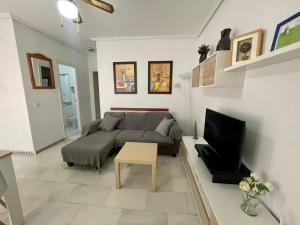 TV a/nebo společenská místnost v ubytování Apartamento Columela