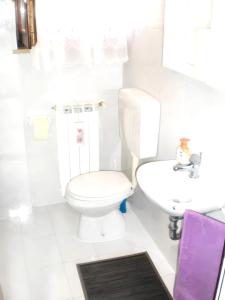 un bagno bianco con un water e un lavandino di Charming villa in Umag with private pool a Umag (Umago)