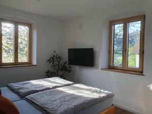 a bedroom with a bed and a flat screen tv at Zauberhaftes Franken erleben in Gräfendorf