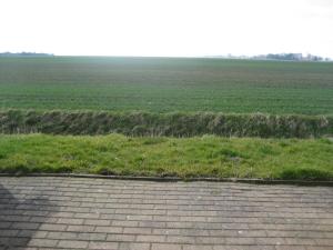 einen Blick auf ein großes Grasfeld mit einer Backsteinterrasse in der Unterkunft Ferienhäuser Freiblick in Ditzumerverlaat