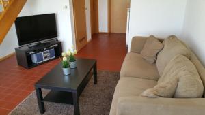 ein Wohnzimmer mit einem Sofa und einem TV in der Unterkunft Ferienhäuser Freiblick in Ditzumerverlaat