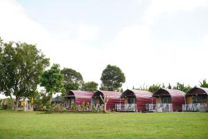 a row of red camping huts in a field at Bali Strawberry Glamping and Camp Bedugul in Tabanan