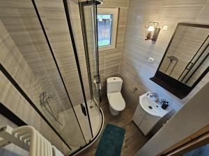 a bathroom with a shower and a toilet and a sink at Osmelakowa Dolina in Spalona +38 photos