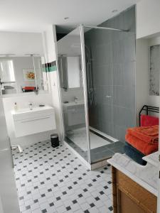 y baño con ducha y lavamanos. en Les Mulotières en Olivet