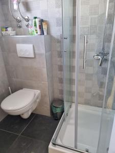 a bathroom with a toilet and a shower at Apartman Rene, 150m from the sea, panorama view, Crikvenica, Dramalj, parking in Dramalj +18 photos