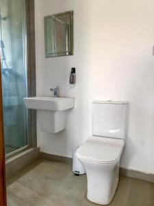a bathroom with a toilet and a sink and a shower at Conys Guest House in Kwabenyan