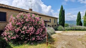 een grote bos roze bloemen voor een huis bij La Toscavera - I Tre Archi in Pomarance