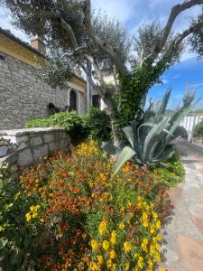 a garden of flowers in front of a building at Azienda agrituristica Di Fiore in Morcone