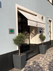 dois vasos de plantas sentados fora de um edifício com um guarda-chuva em Blu Hotel em Lavagna