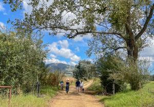 a group of people walking down a dirt road at Molweni - Kamberg Valley B&B in Kamberg Valley