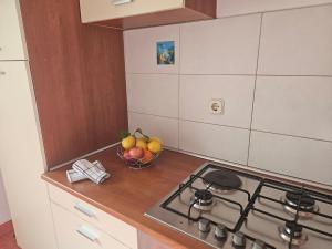 Kuchyň nebo kuchyňský kout v ubytování Apartman Sara-Vis
