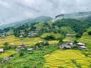 a village in the middle of a rice field at MUONG HOA Peaceful HOMESTAY & Sapa in Lao Cai