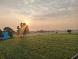 a field with the sun setting in the background at Jim Corbett Home stay in Jhirna