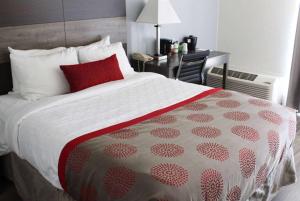 北普拉特的住宿－Ramada by Wyndham North Platte，一间卧室配有一张带红色枕头的床和一张书桌