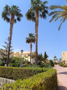 a row of palm trees in front of a building at Bahia de Vera apartamento Abaco in Playas de Vera