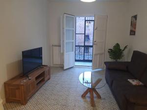Una sala de estar con un sofá y un televisor de pantalla plana. en Rincón en edificio Modernista en centro de Soria, en Soria
