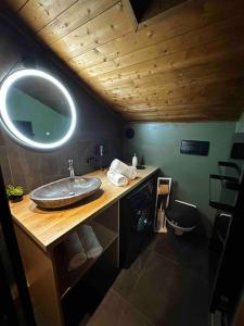 baño con lavabo y espejo en la encimera en Le Grand Balcon, en Les Houches
