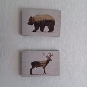 deux images d’un ours et d’un cerf sur un mur dans l'établissement Wandertraum, à Braunlage