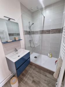 La salle de bains est pourvue d'une douche, d'un lavabo et d'un miroir. dans l'établissement Appartement au cœur d'Orléans en bord de Loire, à Orléans