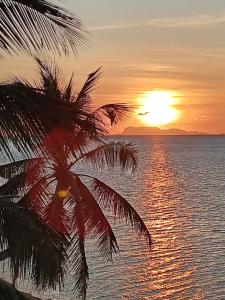a palm tree with the sunset in the background at BANTAI White House in Nathon Bay