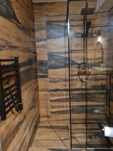a shower in a bathroom with a wooden wall at Konie2 Pokoje Gościnne in Wetlina