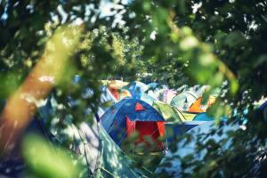 eine Gruppe bunter Regenschirme auf dem Boden in der Unterkunft Pop Up Camping For Walking Distance To Luton BBC Radio 1 Big Weekend With 1 Allocated Parking Space in Luton