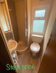 a bathroom with a toilet and a sink and a window at Get aways in west wales in Llandysul