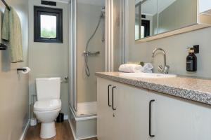 een badkamer met een toilet, een wastafel en een douche bij Hotel chique chalet met zicht over de weilanden op de Veluwe in Epe