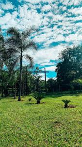 een palmboom in het midden van een veld bij Refúgio Zen - HidroLago! in Uberlândia