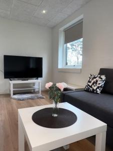 sala de estar con sofá y TV en The Heart of Billund apartment en Billund
