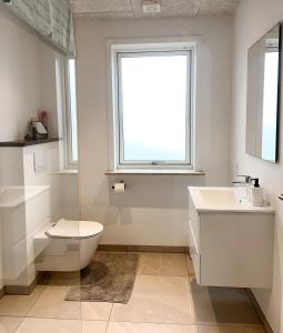 bagno con servizi igienici, lavandino e finestra di The Heart of Billund apartment a Billund