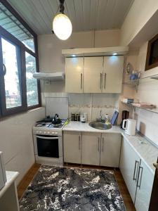 Kuchyň nebo kuchyňský kout v ubytování Your cozy apartment "Centro Parkside" in the City center