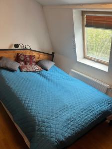 a bedroom with a large blue bed with a window at Apartament-Stajnia Dorado-Agroturystyka in Leoncin