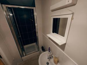 a bathroom with a shower and a toilet and a sink at 2br Cosy City Centre Apartment in Belfast