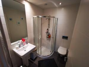 ein Badezimmer mit Dusche und Waschbecken in der Unterkunft 2br Modern Luxury Loft Apartment in Belfast