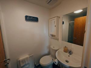 uma casa de banho com um WC, um lavatório e um espelho. em 2br Mountain View City Centre em Belfast