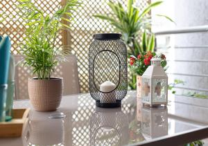 a bird cage sitting on a table with potted plants at Elegant Apt 50meters Close Acropolis in Athens +51 photos