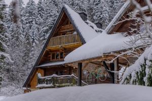 eine Blockhütte im Wald im Schnee in der Unterkunft Bacówka pod Honem in Cisna