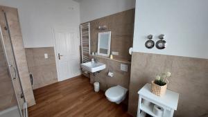 a bathroom with a toilet and a sink and a shower at Villa Norma in Bad Schandau +28 photos