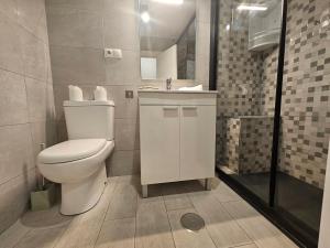 ヒホンにある1A114 Apto moderno en Gijónのバスルーム(トイレ、洗面台、シャワー付)