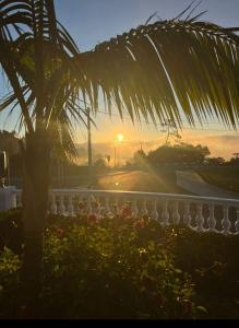 a palm tree in front of a fence with the sunset at Villa Familia Dehoux in Camacha