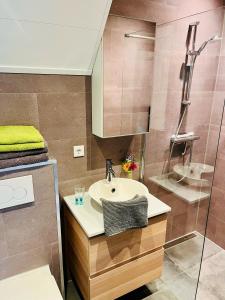 a bathroom with a sink and a shower at De Veurdeale in Havelte