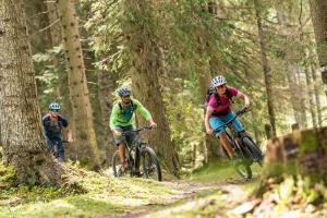 three people riding bikes on a trail in the woods at Sporthotel Flachauwinkl in Flachau