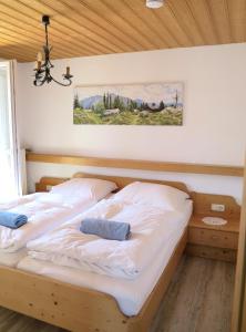 un letto con due cuscini sopra in una stanza di Hike 'n Bike Base a Bad Kohlgrub