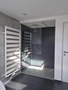La salle de bains est pourvue d'une douche et d'une porte en verre. dans l'établissement Haus Fernweh, à Bartholomäberg