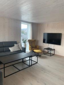 a living room with a couch and a flat screen tv at Folkestadvegen 23Q in Bø
