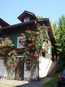 The building in which a panziókat is located