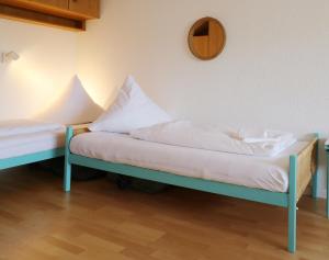 a room with two beds with pillows on them at Ferienwohnung Auch am Berg, Todtnauberg, Feldberg in Ennerbach +17 photos