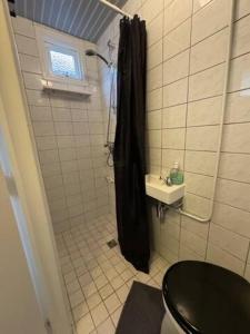 uma casa de banho com um chuveiro, um WC e um lavatório. em Hello Noordwijk - Tiny House Dahliastraat 60 em Noordwijk